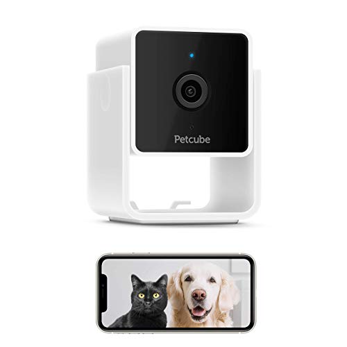 Petcube Cam Pet Monitoring Camera with Built-in Vet Chat for Cats & Dogs