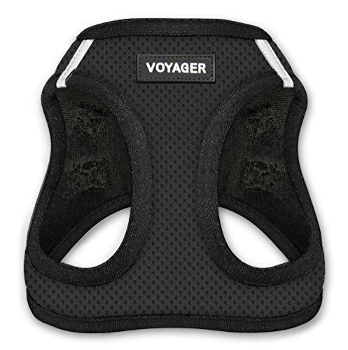 Voyager Step-in Air Dog Harness - All Weather Mesh, Step in Vest Harness for Small Dogs and Cats