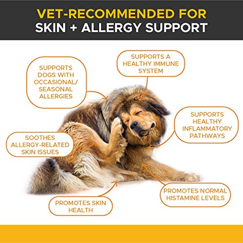 PetHonesty Anti-Scratch Salmon Oil - Omega-3 for Dogs