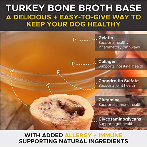 PetHonesty Anti-Scratch Salmon Oil - Omega-3 for Dogs