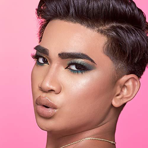 wet n wild Bretman Rock Shadow Palette, 0.85 Fl Ounce
