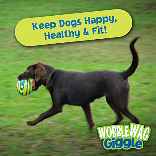 Wobble Wag Giggle Ball, Interactive Dog Toy, Fun Giggle Sounds, As Seen On TV