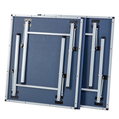 Mid-Size Portable Table Tennis Table