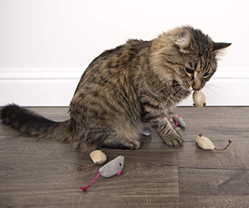 SmartyKat Skitter Critters Cat Toy Catnip Mice, 3/pkg