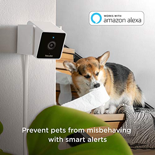 Petcube Cam Pet Monitoring Camera with Built-in Vet Chat for Cats & Dogs