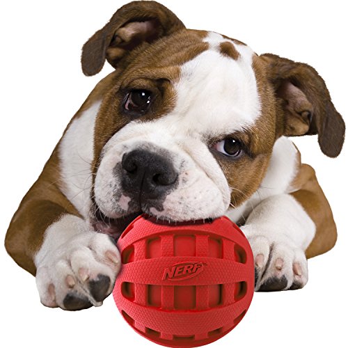 Nerf Dog Rubber Ball Dog Toy with Checkered Squeaker