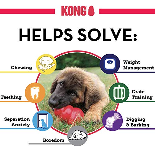 KONG - Classic Dog Toy, Durable Natural Rubber- Medium
