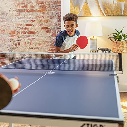 Mid-Size Portable Table Tennis Table