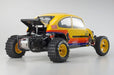 Beetle-2014-Buggy-Kit