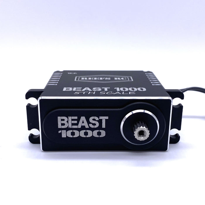 Beast-1000-5th-Scale-Servo-w-Aluminum-Horns